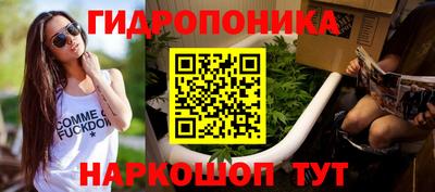молекула духа Заводоуковск